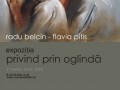 Expozitia Privind prin oglinda Radu Belcin Flavia Pitis Muzeul de Arta Brasov