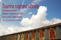 Toamna ruginesc uzinele - expoziție de fotografie semnată Adela Ștefan