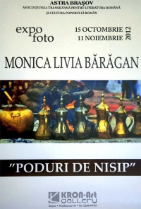 Expozitia de fotografie "Poduri de nisip"