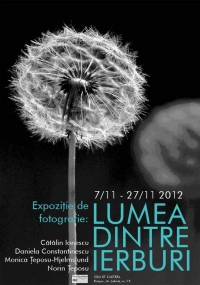 Lumea dintre ierburi - expoziție de fotografie semnată Cătălin Ionescu, Daniela Constantinescu, Monica Țeposu – Hjelmslund, Norin Țeposu